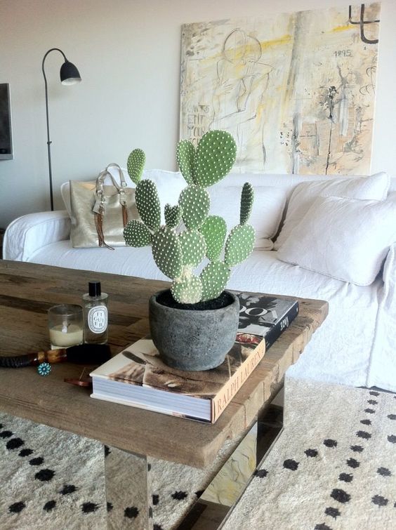 Decorar con cactus una mesa de centro