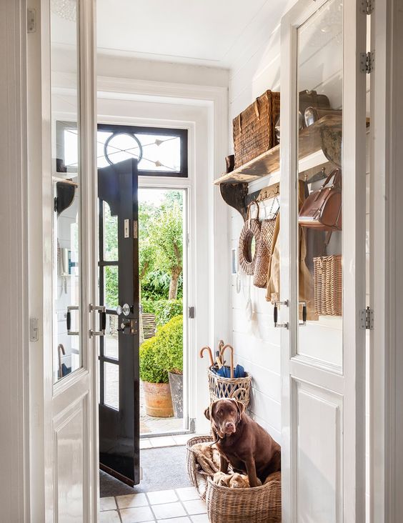 Recbidor decorado con etilo natural de una casa con perros